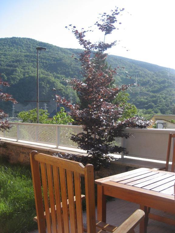 La Faiada Apartment El Pont de Suert Ruang foto