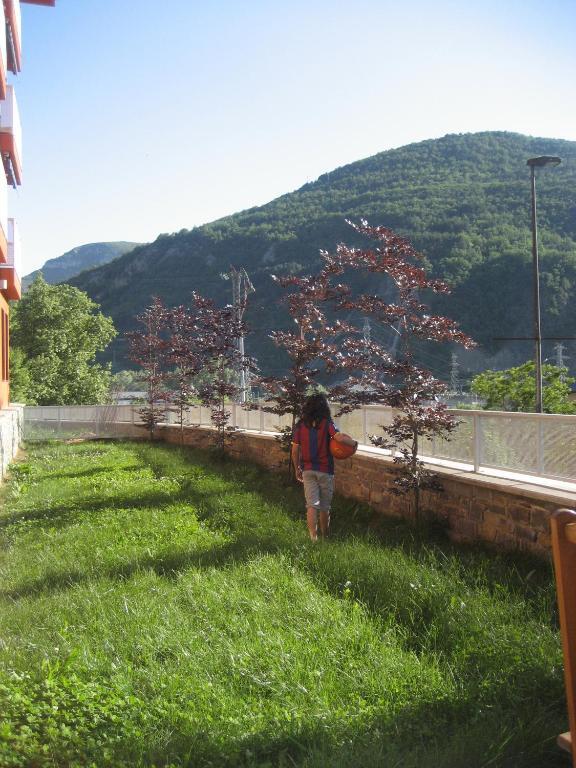 La Faiada Apartment El Pont de Suert Ruang foto